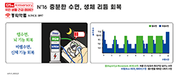 충분한 수면, 생체리듬 회복